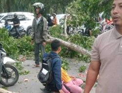 Dahan Pohon di Stabat ‘Makan’ Korban, Warga: Copot Kadis LH Langkat